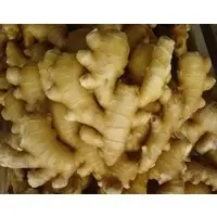Fresh Ginger