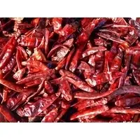 Red Paprika