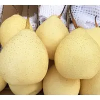 Fresh Juicy Pears