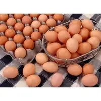 Fresh Chicken Eggs