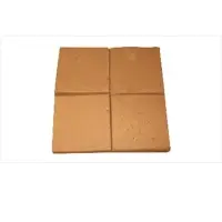 High EC Coco Peat