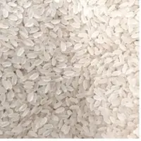 Swarna Rice