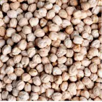 Garbanzo Beans