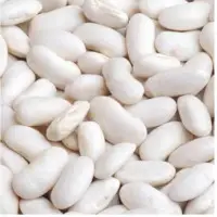 White Kidney Beans