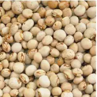 Pigeon Peas