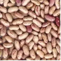 Light Speckled Kidney Beans