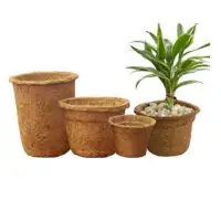 Coconut Fibrepots