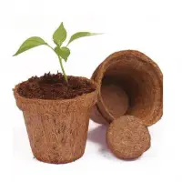 Coir Pot