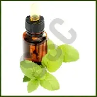 Mint Oil