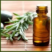 Essential Oils