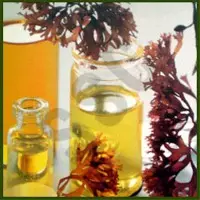 Cold Pressed Oils