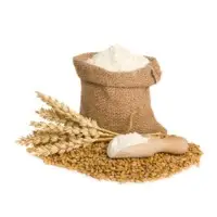 Wheat Flour