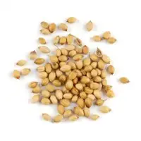 Coriander Seeds