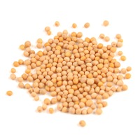 White Mustard Seed