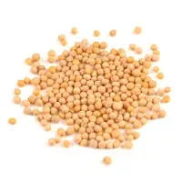 White Mustard Seed