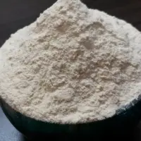 Dehydrated Onion Powder