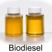Bio Diesel
