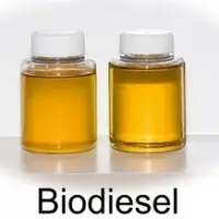 Bio Diesel