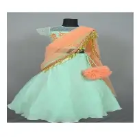 Heavy Hand Embroiderd Kids Lehenga