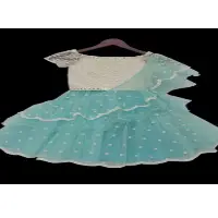 Heavy Hand Embroiderd Kids Lehenga