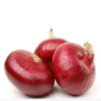 Onion