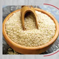 Sesame