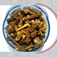 Indian Sarsaparilla