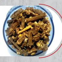 Indian Sarsaparilla