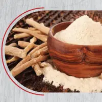 Indian Ginseng