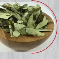 Senna Leaf
