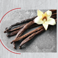 Vanilla