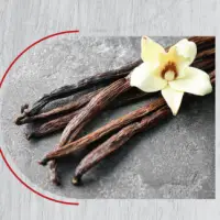 Vanilla