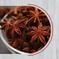 Star Anise