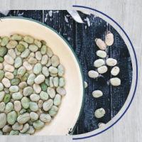 Fava Beans