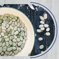 Fava Beans