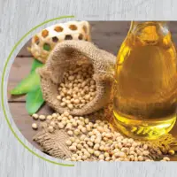 Olive Oil