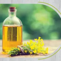 Soya Oil