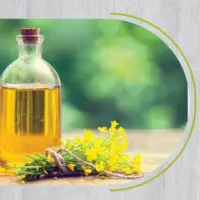 Canola Oil