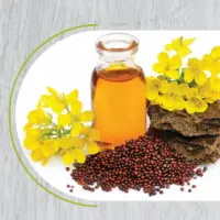 Mustard Oil