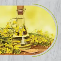 Rape seed Oil