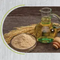 Rice Bran Oil