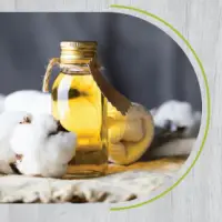 Cotton Seed Oil