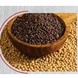 Mustard