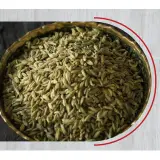 Fennel