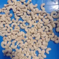 Cashew W240/w210/w180/w400/swp/lwp/bb