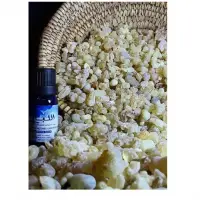 Frankincense Oil