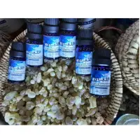 Frankincense Oil