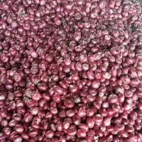 Onions