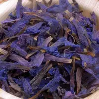 Dried Echium Amoenum