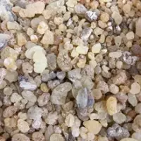 Mastika